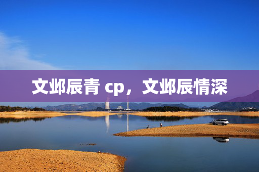 文邺辰青 cp，文邺辰情深