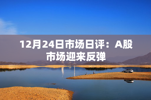 12月24日市场日评：A股市场迎来反弹