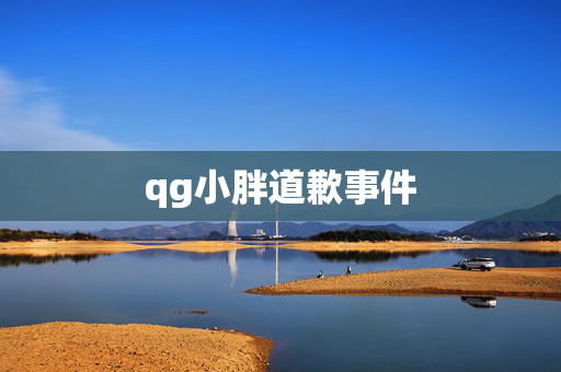 qg小胖道歉事件