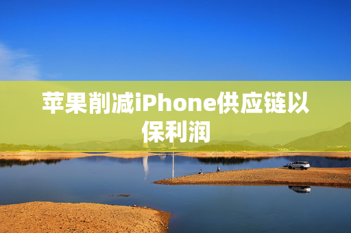 苹果削减iPhone供应链以保利润