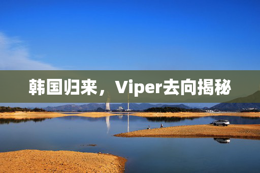 韩国归来，Viper去向揭秘