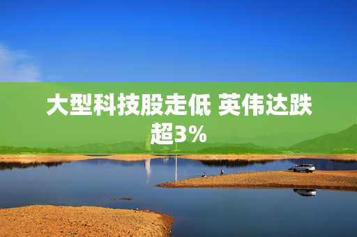 大型科技股走低 英伟达跌超3%