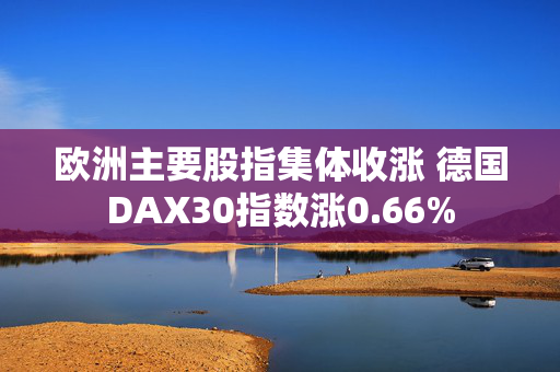 欧洲主要股指集体收涨 德国DAX30指数涨0.66%