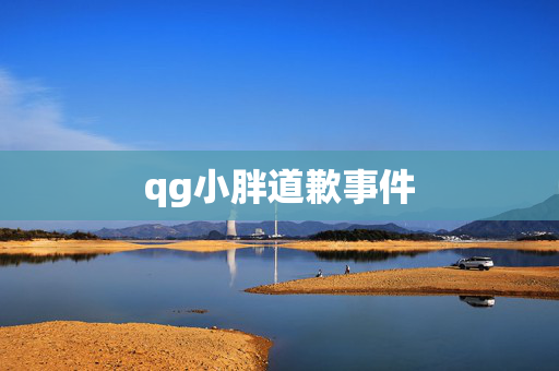 qg小胖道歉事件