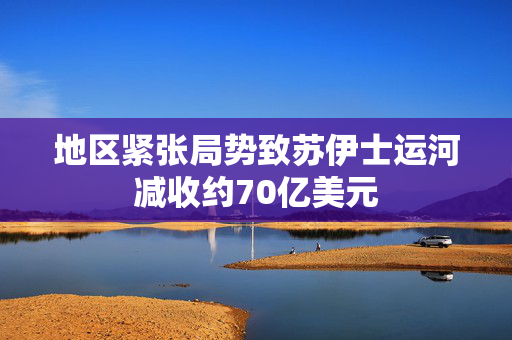 地区紧张局势致苏伊士运河减收约70亿美元