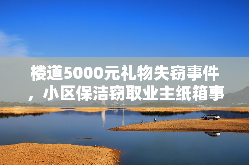 楼道5000元礼物失窃事件，小区保洁窃取业主纸箱事件追踪