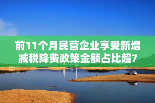 前11个月民营企业享受新增减税降费政策金额占比超70%