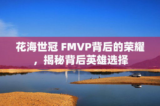 花海世冠 FMVP背后的荣耀，揭秘背后英雄选择