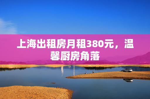 上海出租房月租380元，温馨厨房角落