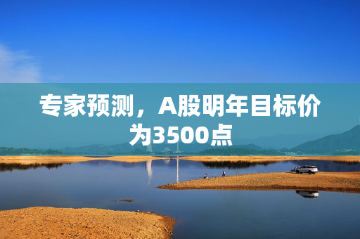 专家预测，A股明年目标价为3500点