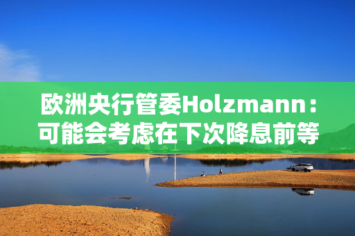 欧洲央行管委Holzmann：可能会考虑在下次降息前等待更长时间