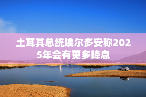 土耳其总统埃尔多安称2025年会有更多降息