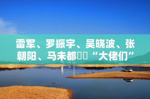 雷军、罗振宇、吴晓波、张朝阳、马未都⋯⋯“大佬们”的跨年演讲，他们为何如此乐观？