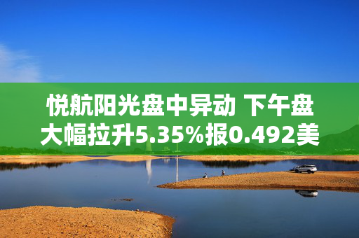 悦航阳光盘中异动 下午盘大幅拉升5.35%报0.492美元