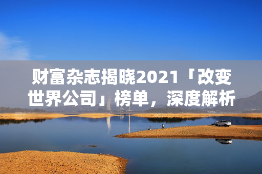 财富杂志揭晓2021「改变世界公司」榜单，深度解析与未来展望