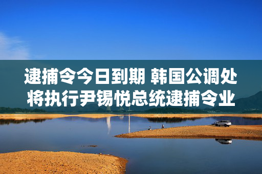 逮捕令今日到期 韩国公调处将执行尹锡悦总统逮捕令业务移交给警方