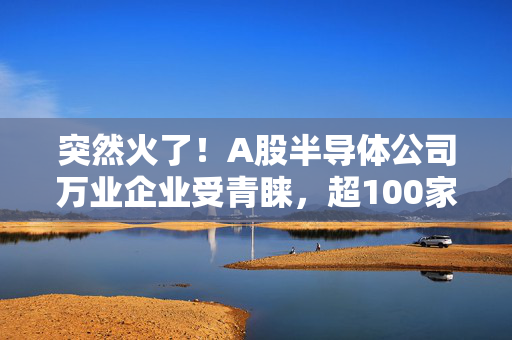 突然火了！A股半导体公司万业企业受青睐，超100家机构现身调研！发生了什么？