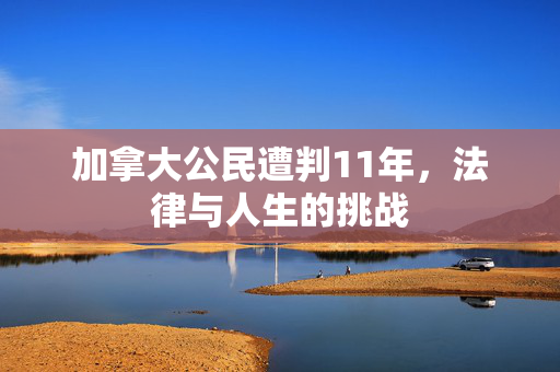 加拿大公民遭判11年，法律与人生的挑战