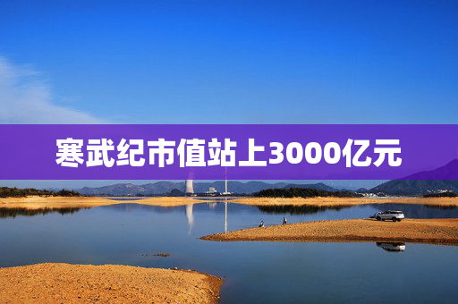 寒武纪市值站上3000亿元