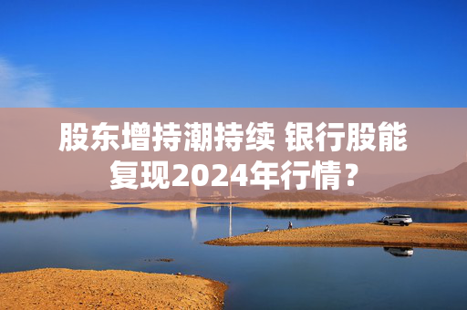 股东增持潮持续 银行股能复现2024年行情？