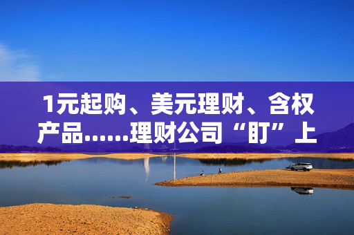 1元起购、美元理财、含权产品......理财公司“盯”上了你的年终奖，该怎么买？