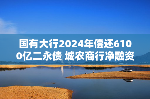 国有大行2024年偿还6100亿二永债 城农商行净融资占比提升