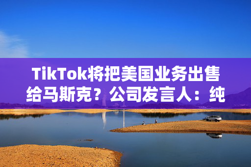 TikTok将把美国业务出售给马斯克？公司发言人：纯属虚构