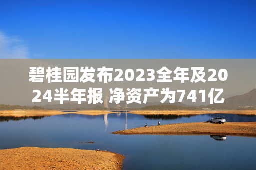 碧桂园发布2023全年及2024半年报 净资产为741亿元