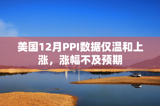 美国12月PPI数据仅温和上涨，涨幅不及预期