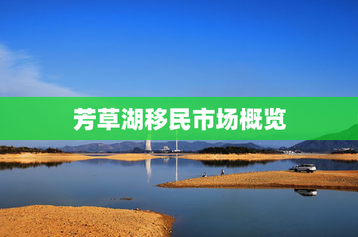 芳草湖移民市场概览