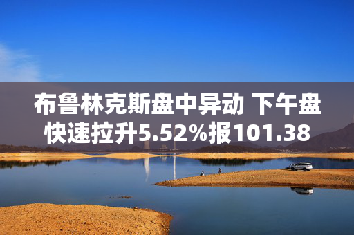 布鲁林克斯盘中异动 下午盘快速拉升5.52%报101.38美元