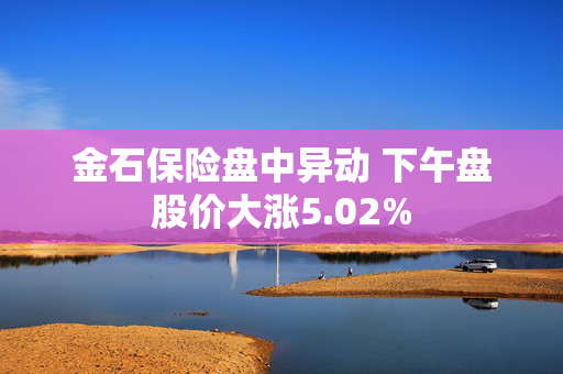 金石保险盘中异动 下午盘股价大涨5.02%