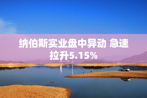 纳伯斯实业盘中异动 急速拉升5.15%