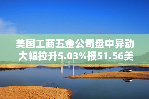 美国工商五金公司盘中异动 大幅拉升5.03%报51.56美元