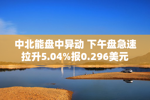 中北能盘中异动 下午盘急速拉升5.04%报0.296美元