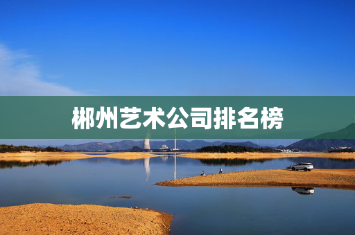 郴州艺术公司排名榜