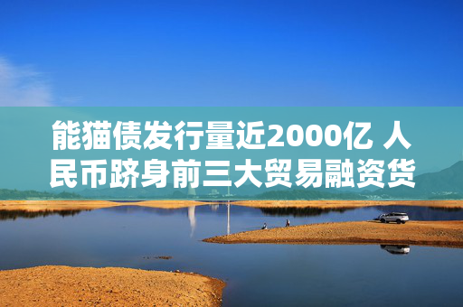 能猫债发行量近2000亿 人民币跻身前三大贸易融资货币