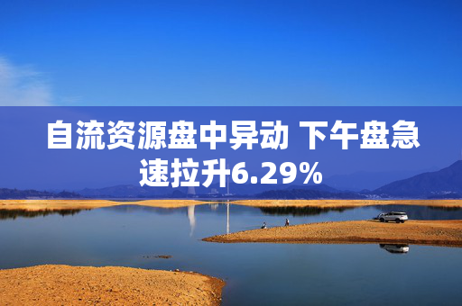 自流资源盘中异动 下午盘急速拉升6.29%