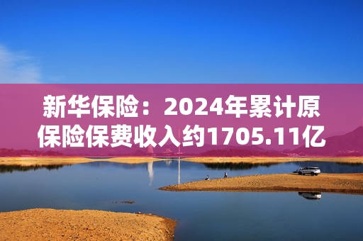 新华保险：2024年累计原保险保费收入约1705.11亿元，同比增长2.8%