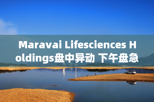 Maravai Lifesciences Holdings盘中异动 下午盘急速上涨5.03%报4.80美元