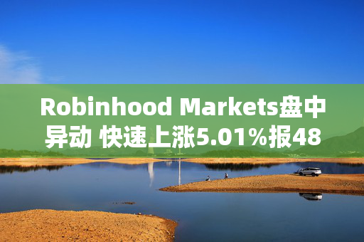 Robinhood Markets盘中异动 快速上涨5.01%报48.39美元