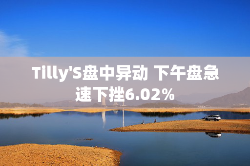 Tilly'S盘中异动 下午盘急速下挫6.02%