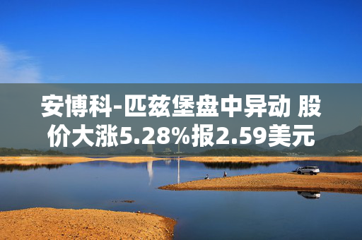 安博科-匹兹堡盘中异动 股价大涨5.28%报2.59美元