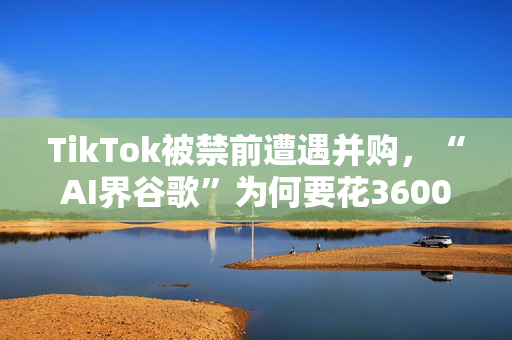 TikTok被禁前遭遇并购，“AI界谷歌”为何要花3600亿买它？