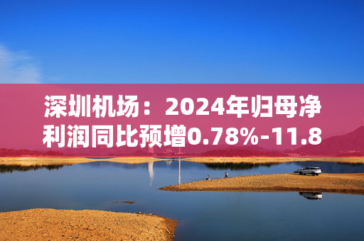 深圳机场：2024年归母净利润同比预增0.78%-11.88%