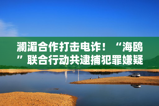 澜湄合作打击电诈！“海鸥”联合行动共逮捕犯罪嫌疑人7万余名