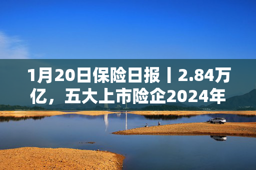 1月20日保险日报丨2.84万亿，五大上市险企2024年保费成绩单出炉！扶优限劣，险企监管评级办法将施行！