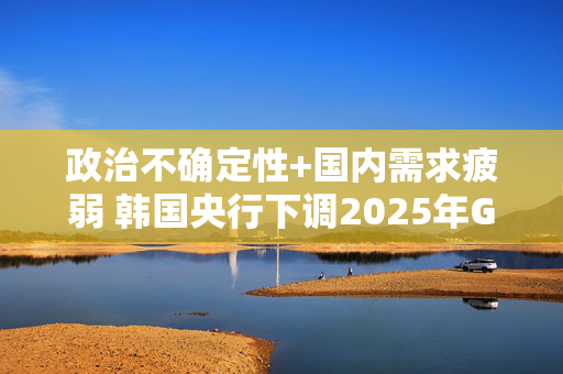 政治不确定性+国内需求疲弱 韩国央行下调2025年GDP预期