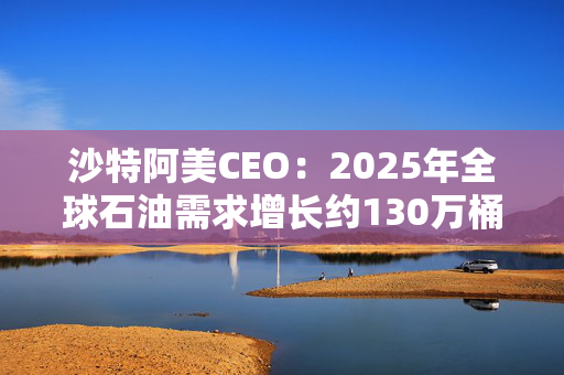 沙特阿美CEO：2025年全球石油需求增长约130万桶/日