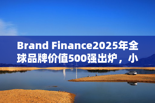 Brand Finance2025年全球品牌价值500强出炉，小米集团排名上升34位